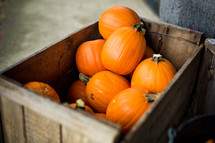 Small pumpkins sit in an old wooden box.