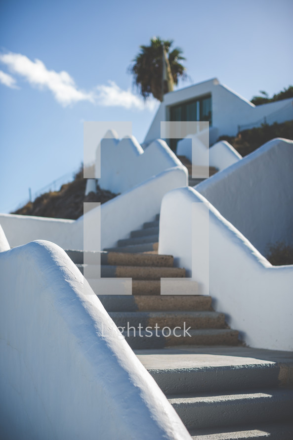 palm tree and white painted steps 