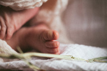 newborn feet and straw