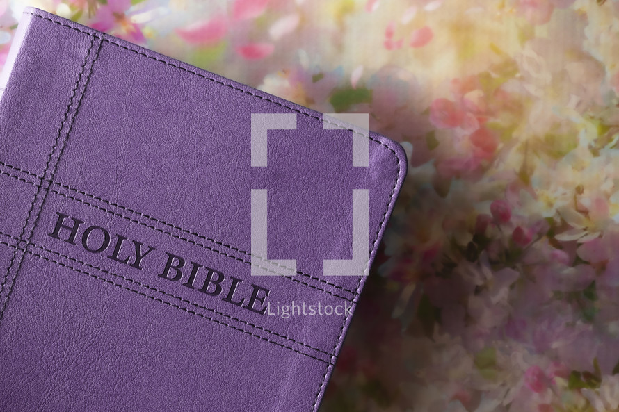 purple Bible on floral pattern 