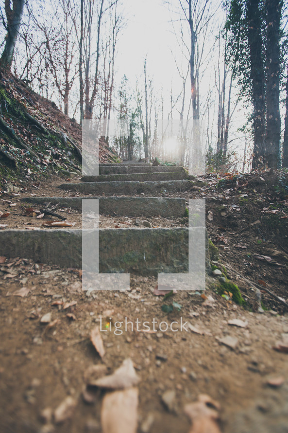 steps on an outdoor path