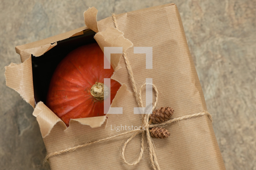 Autumn Pumpkin with Open Present Gift Box