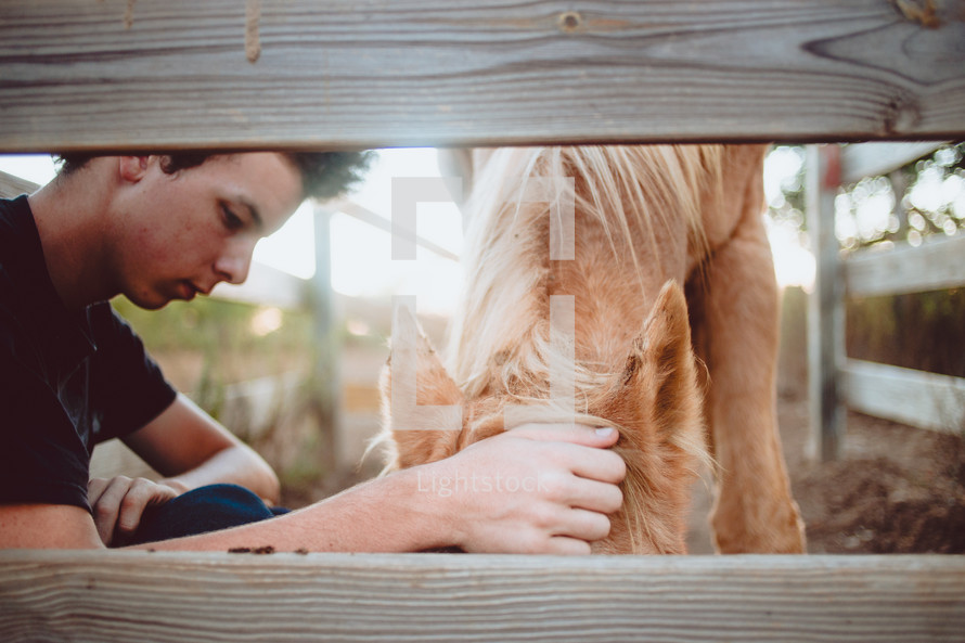 a teen boy petting a horse 