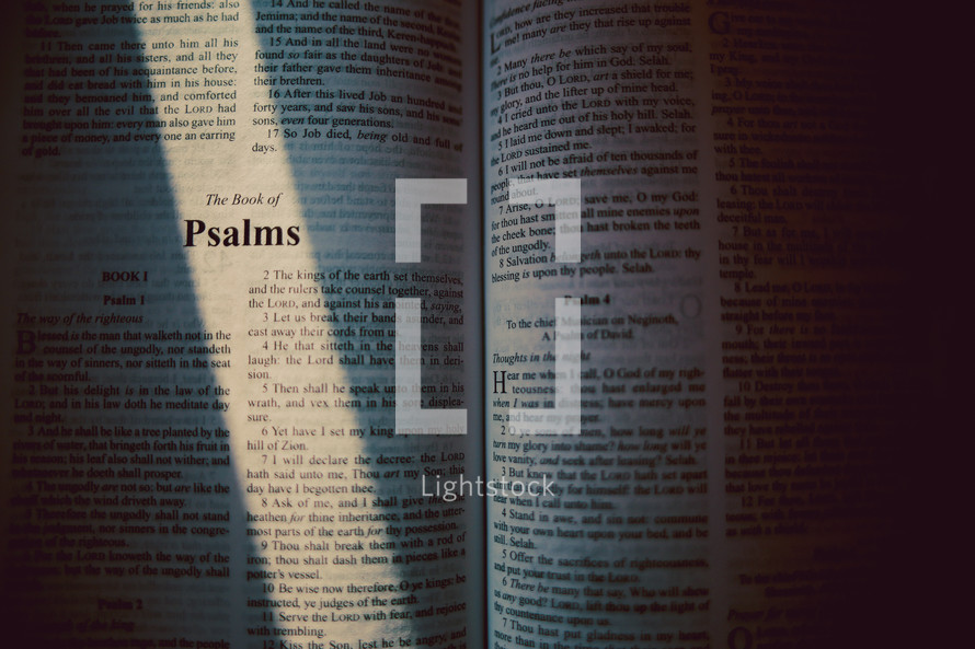 sunlight on the pages of a Bible opened to Psalms 