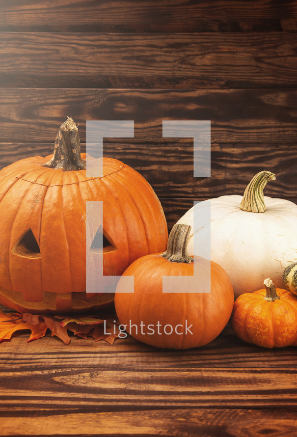 jack-o-lantern and pumpkins 