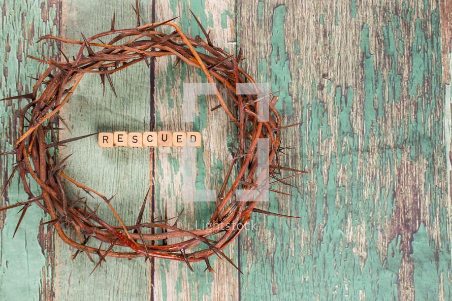Rescued and crown of thorns 