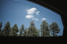 view of trees and clouds out a car window 