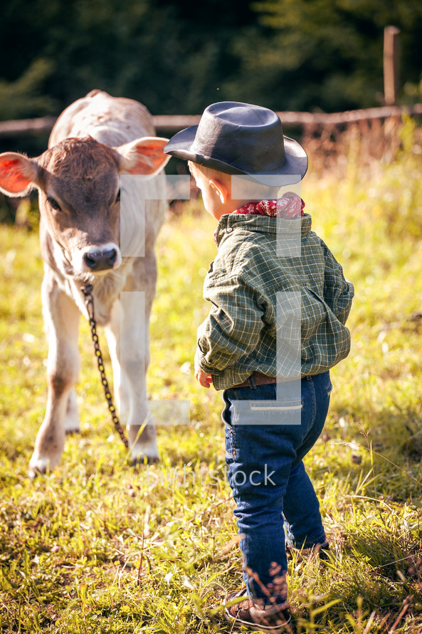 Little Toddler Cowboy Kid with Little Cute Calf the Cow