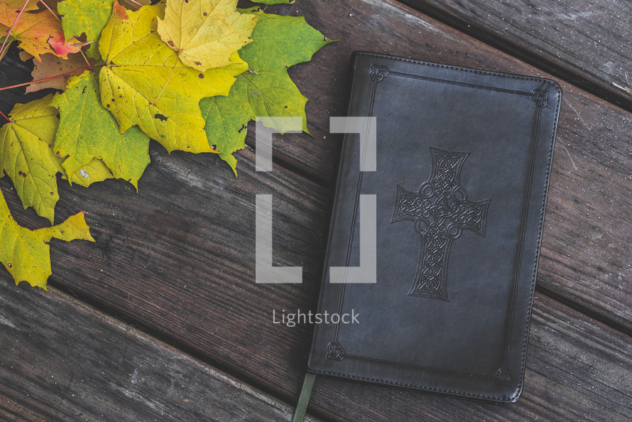 cover of a Bible and autumn leaves on a wood background 