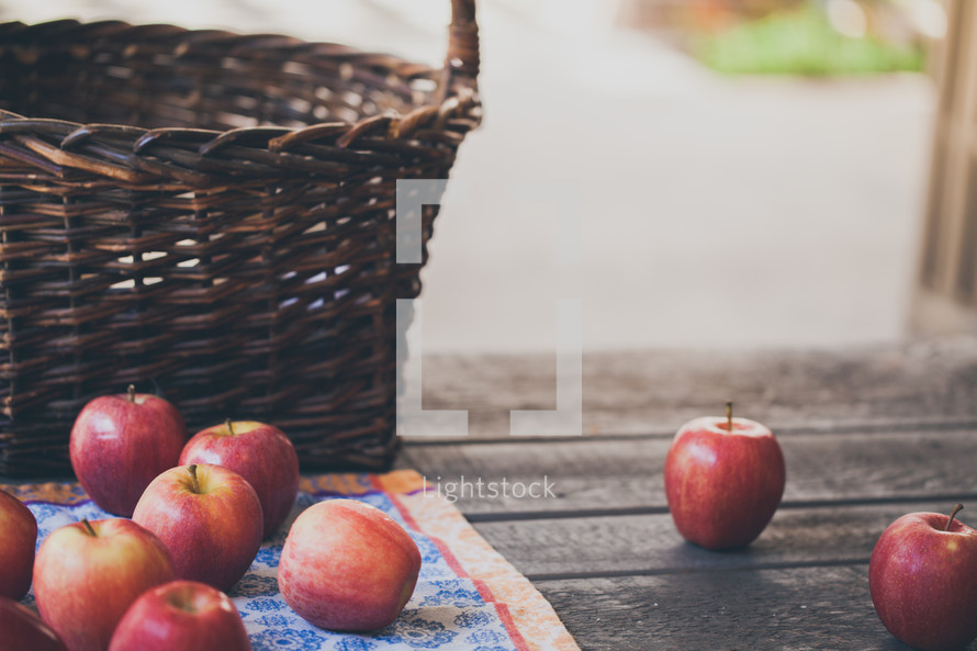 a basket and fresh picked apples 