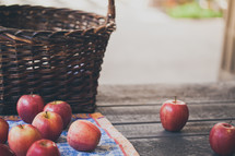 a basket and fresh picked apples 