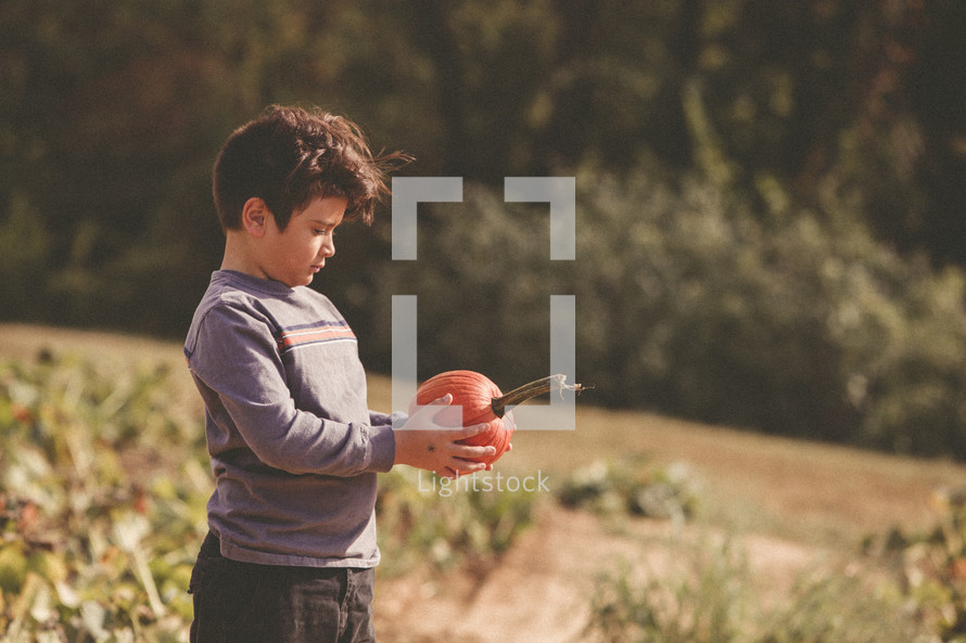 boy child picking out a pumpkin in a pumpkin patch 