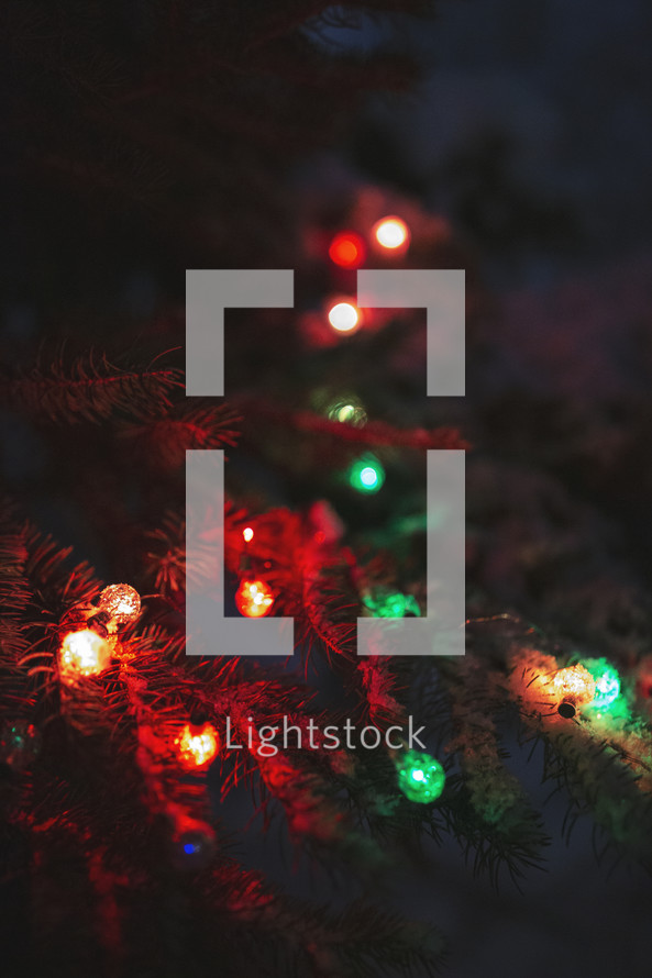 colored Christmas lights on a Christmas tree