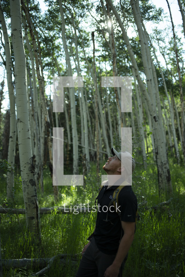 man looking up standing in a forest 