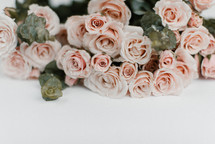 pink roses in a flower arrangement on a white background 