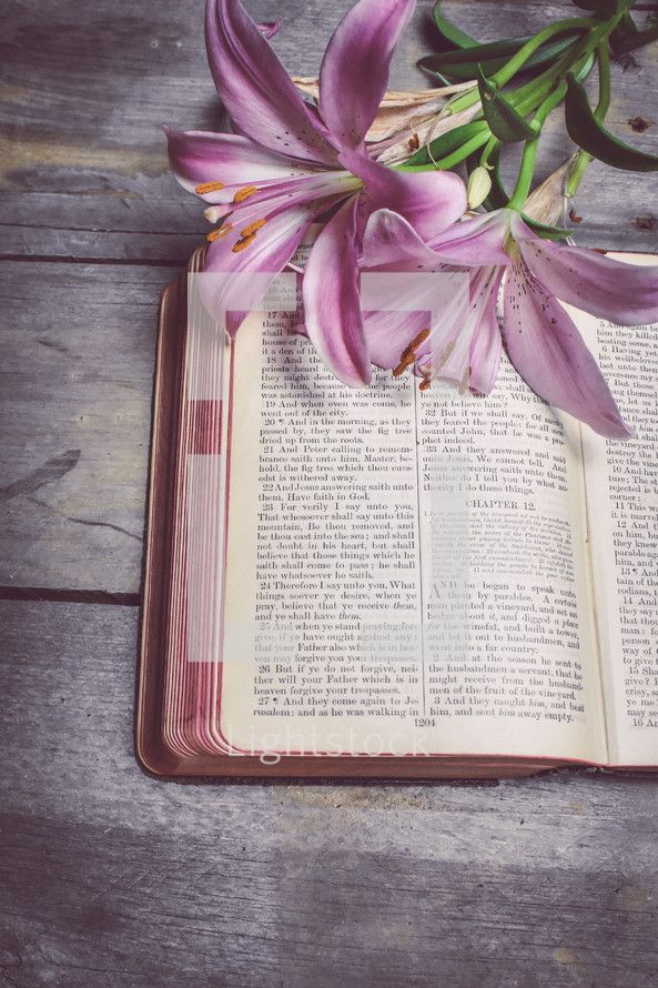 lilies on the pages of a Bible 