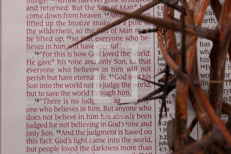 John 3:16 and crown of thorns 