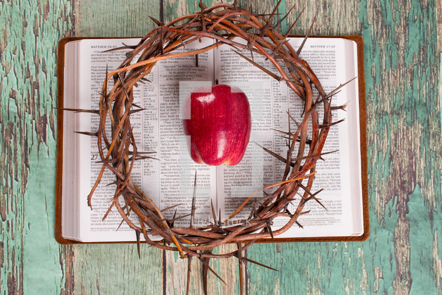 crown of thorns and apple on a Bible 