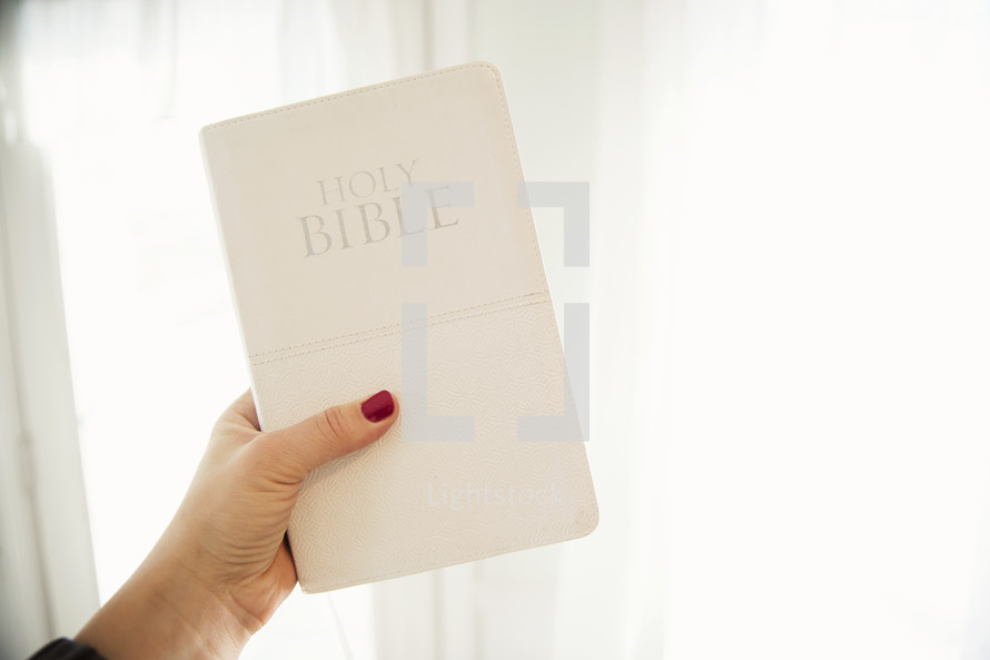 woman holding up a Bible