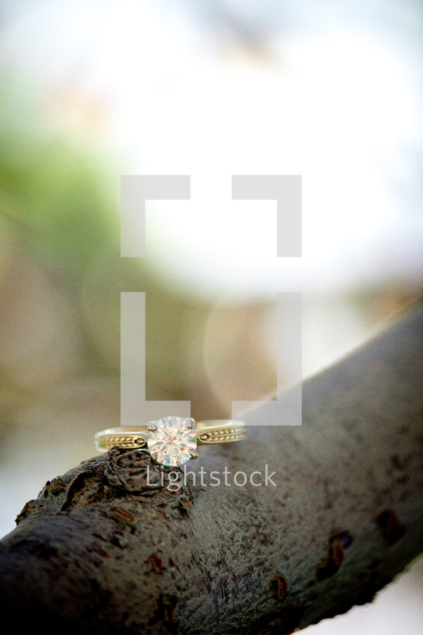 engagement ring on a branch 