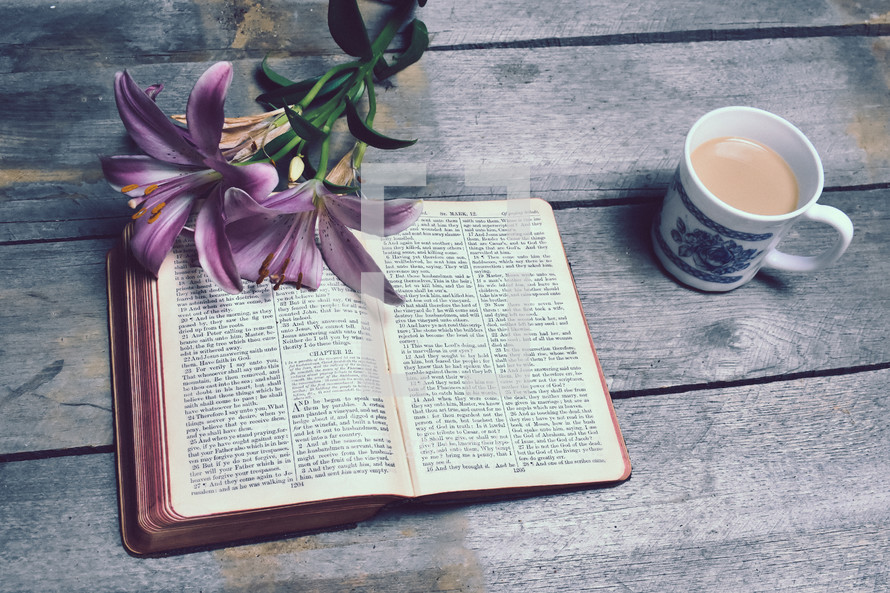 lilies on the pages of a Bible and coffee mug 