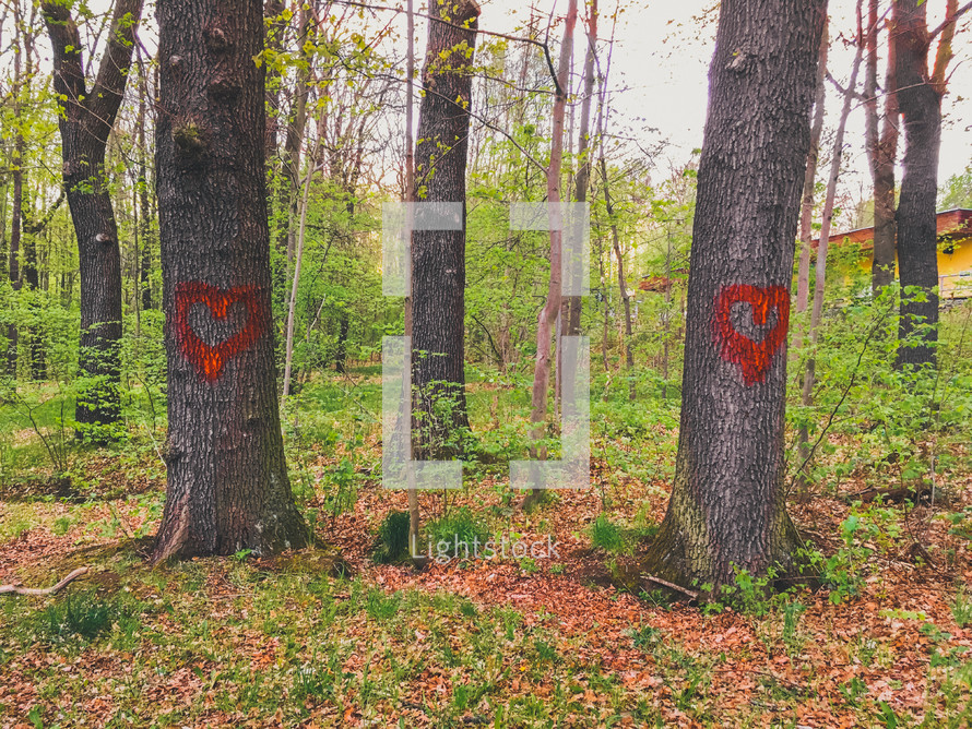 red hearts spray painted on trees 