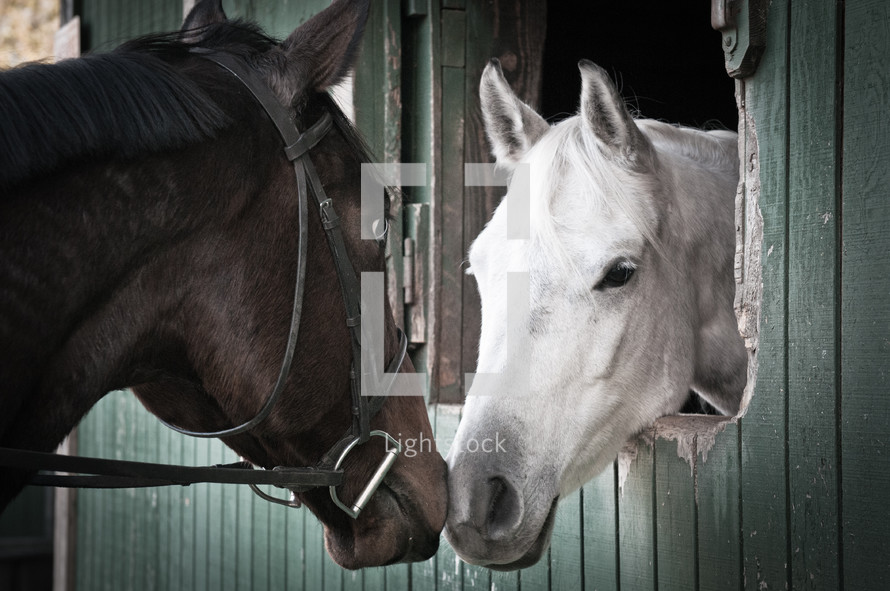 Two horses touching noses in a stable.