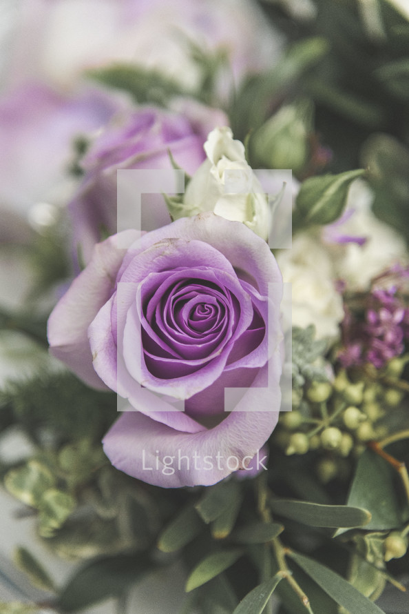 bouquet of purple roses 