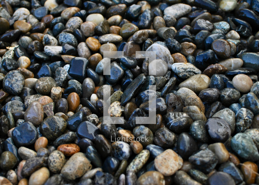 shiny wet pebbles 