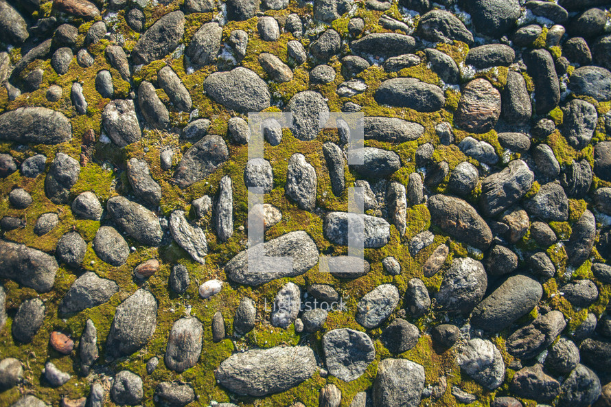 moss and stones background 