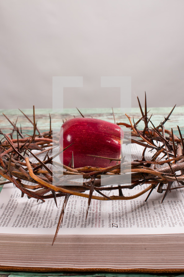 crown of thorns and apple on a Bible 