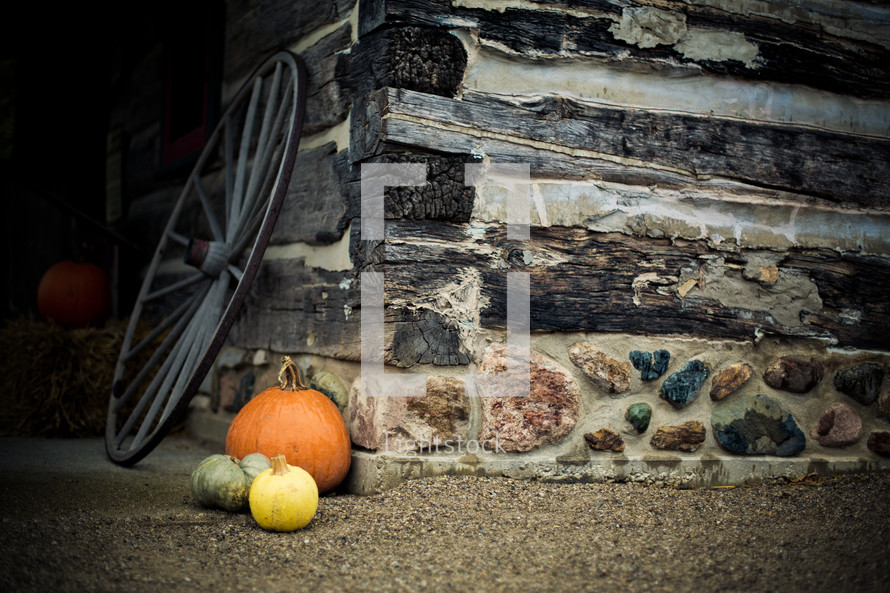 Pumpkin and gourds in front of a stone brick wall with wooden planks. A wagon wheel sits behind it.