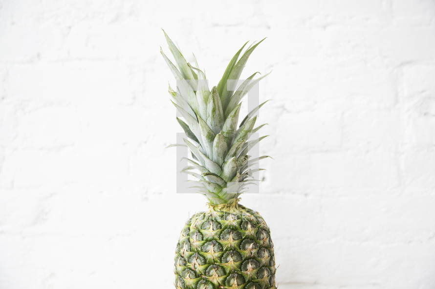 pineapple fruit against a white brick wall 