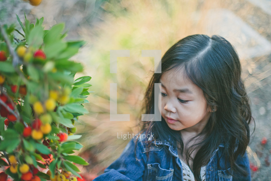A little girl looks at a bush full of berries.