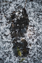 footprint in snow 