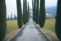 trees lining the driveway of a chateau 