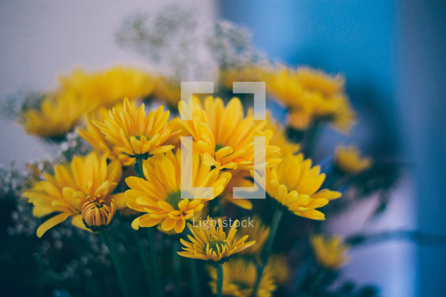 Bouquet of yellow daisies.