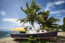 Houseboat on beach with palm trees.
