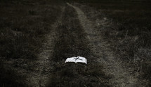 A Bible lays in the middle of a dirt road.