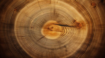 Circular wood grain textured background. 