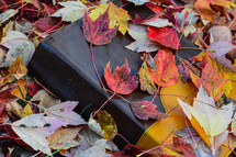 Closed Bible with Fall Leaves op Top