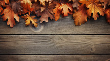 Fall oak leaves on a wood background. 