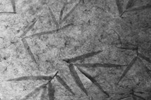 leaf imprints on paper