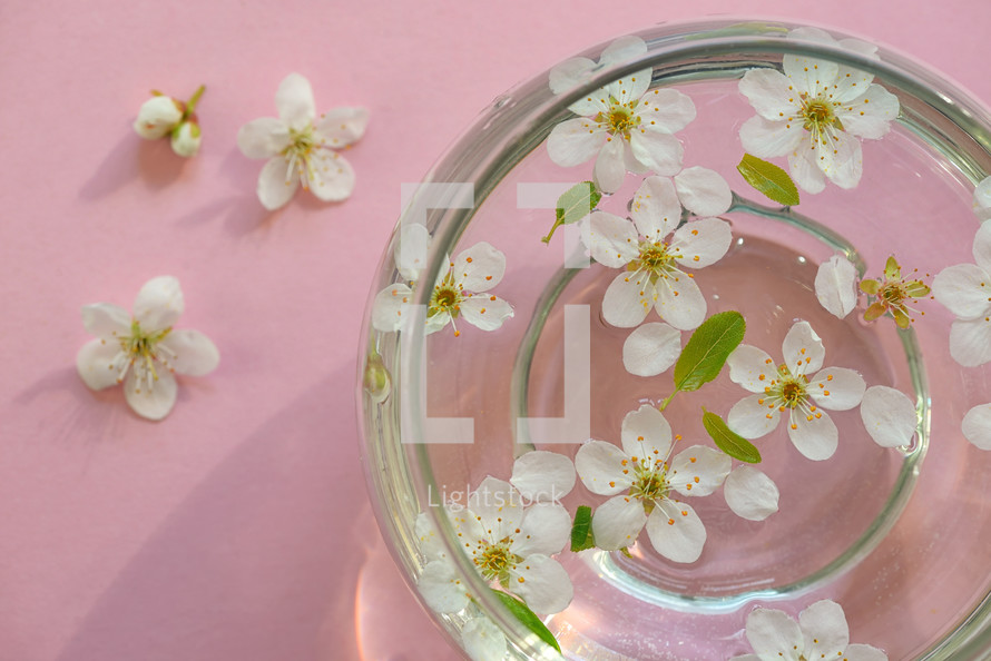 Spring flowers in bowl of water

