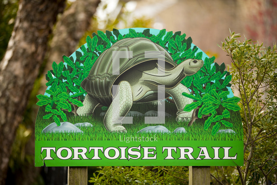tortoise trail sign 
