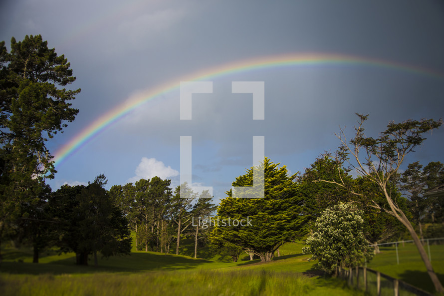 A rainbow arching across a field of green and trees.
