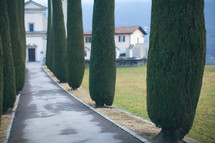 trees lining a driveway to a chateau