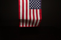 hand held American flag 