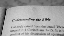Understanding the Bible 