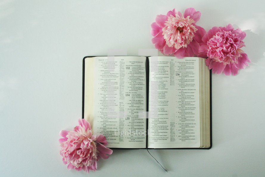 open Bible and pink flowers 